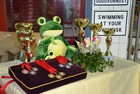 21.-21.02.2015. - Žabac 2015 - 5. HPS mini Grand Prix